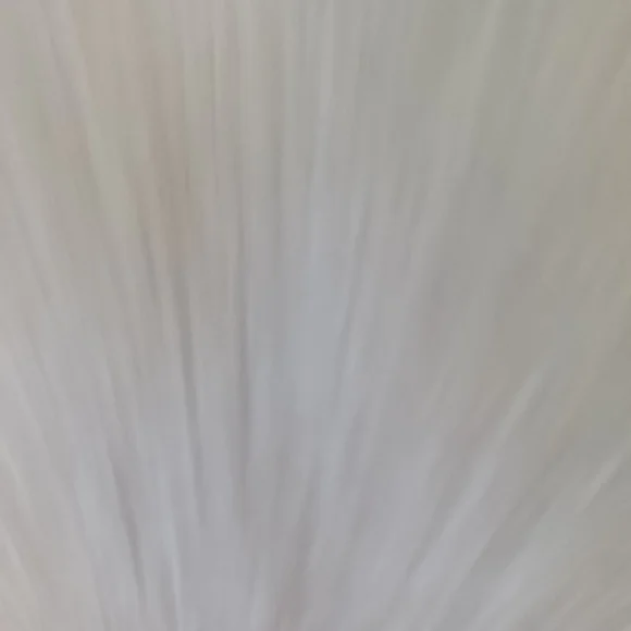 True Religion Boardshorts - Picture 4 of 10